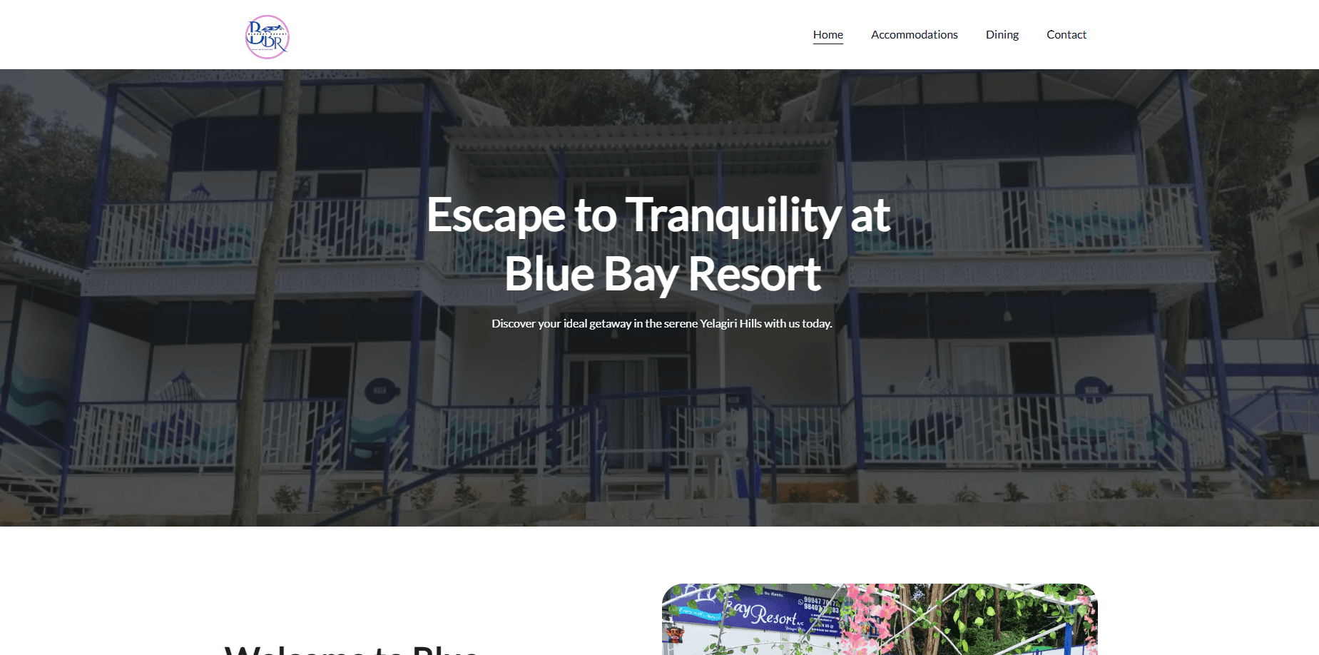 Old Website